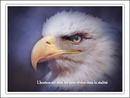 L'horizon est dans..........................